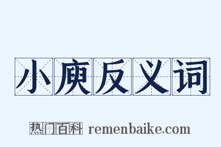 小庾反义词是什么意思的图片